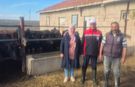 Yozgat'ta Kırsalda hayvancılığı güçlendirecek adım: Gebe damızlık teslimatı genişletiliyor