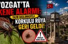 Yozgat’ta Kene Alarmı: Korkulu Rüya Geri Geldi