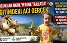 Mevsimlik tarım işçisi çocukları Adana tarlalarında çalışıyor