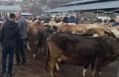 Kurban Bayramı'na Kısa Süre Kala Yozgatı'da Etkileyecek Zam