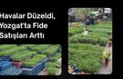 Havalar Düzeldi, Yozgat'ta Fide Satışları Arttı