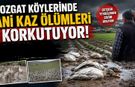 Yozgat Köylerinde Ani Kaz Ölümleri Korkutuyor!