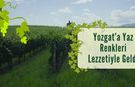 Yozgat’a Yaz Renkleri Lezzetiyle Geldi