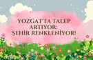 Yozgat'ta Talep Artıyor: Şehir Renkleniyor!