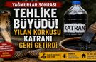 Yağmurlar Sonrası Tehlike Büyüdü! Yılan Korkusu Katranı Geri Getirdi