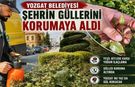 Yozgat Belediyesi Şehrin Güllerini Korumaya Aldı
