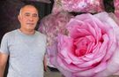 Yozgat'ta Doğal Ürünler Tezgahta: Rağbet Yüksek