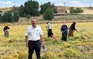 Yozgat'ta Gözler TMO'da! Yeşil Mercimek İçin Kritik Bekleyiş