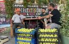 Tarladan 150 liraya çıkıyor, pazarda 350 lira: Günde 20 ton toplanıyor