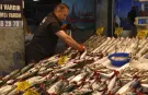 Karadeniz'de palamut bolluğu fiyatları dip seviyeye çekti: Tezgahlarda son 15 yılın en bereketli günleri