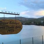 68 Yıllık Tarihi Belge Ortaya Çıktı! Yozgat Çamlığı'nın Milli Park Kararnamesi Gündem Oldu