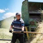 Akdağmadeni’nde Kış Kapıyı Çalmadan Yemler Hazırlanıyor