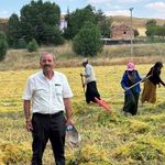 Yozgat'ta Gözler TMO'da! Yeşil Mercimek İçin Kritik Bekleyiş
