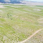 Yozgat'ta Meyvecilik Köyün Kaderini Değiştirdi