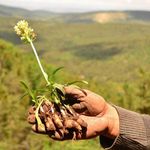 Yozgat'ın Tescilli Lezzeti Bozok Üniversitesinde Anlatılacak