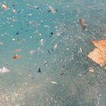Antalya Denizlerinde Mikroplastik Tehlikesi