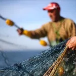 Balık Avı Yasağı Ne Zaman Bitiyor? İşte Tarım ve Orman Bakanlığı 2026-2027 Balık Sezonu Açılış Tarihi