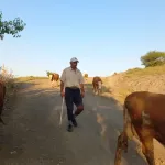 Yozgat Akdağmadeni’nde Çoban Alımı İçin Kurs Düzenlenecek