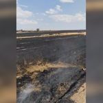 Yozgat’ta Anız Ateşi Alarmı! Bin Dönümlük Alan Yandı