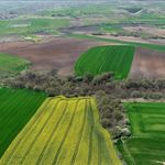 Yozgat'ta Belediye Duyurdu: Arsalar Uygun Fiyata Satılıyor!
