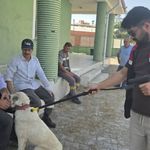 Yerköy’de Çipsiz Hayvanlara Denetim! Sahiplerine Önemli Uyarı