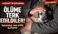Yozgat’ta Ölüme Terk Edilen Yavru Köpekleri Vatandaş Kurtardı