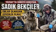 Yozgat’ta Sürüyü Koruyan Sadık Bekçiler: Onlar Olmadan Güvenlik Olmaz
