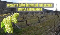 Yozgat'ta Üzüm Üreticileri Yeni Sezona Umutla Hazırlanıyor