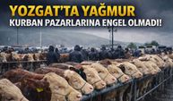 Yozgat'ta Yağmur Kurban Pazarlarına Engel Olmadı!