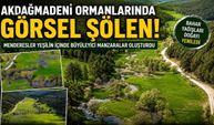Akdağmadeni Ormanlarında Görsel Şölen
