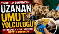 Hayata İkinci Şans: Yozgat’tan Ormanya’ya Uzanan Umut Yolculuğu