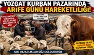 Yozgat Kurban Pazarında Son Mesai: Besici Satmak, Vatandaş Uygun Fiyat Bulmak İçin Yarışıyor