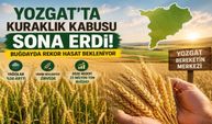 Yozgat'ta Kuraklık Kabusu Sona Erdi! Buğdayda Rekor Hasat Bekleniyor
