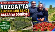 3 Günde Her Şeyi Geride Bıraktılar: Yozgat'ta Kurdukları Bahçe Başarıya Dönüştü