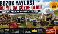 Bozok Yaylası Bu Yıl da Gözde Oldu! Gezginci Arıcılar Yozgat'a Yerleşti