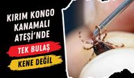 Kırım Kongo Kanamalı Ateşi'nde Tek Bulaş Kene Değil!