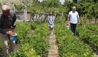 Yozgat’ta Emekli Müdür Babasından Kalma Arazide Devlet Desteğiyle Üretim Yapıyor