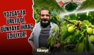 Yozgat'ta Üretildi, Dünyaya İhraç Ediliyor!