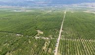 Yozgat’tan Çin ve Avrupa’ya Uzanan Yolculuk: Sessiz Sedasız Dünya Markası Oldular!