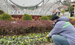 YOZGAT KIŞ MEVSiMiNDE RENGARENK OLACAK!
