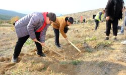 Geleceğe nefes için fidanlar toprakla buluştu