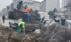 Kayseri Büyükşehir 'yeşil Kayseri' için çalışıyor