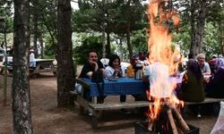 Piknik yapılacak  ateş yakılmayacak