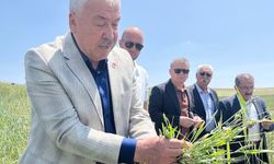 'Çiftçiye acil destek şart!'