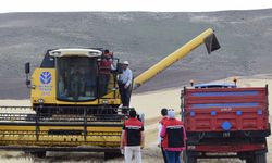 Yozgat’ta Hasat Başladı: Hedef 172 Bin Ton Arpa!