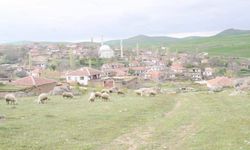 KÖY SAYISI BAKIMINDAN BÜYÜKŞEHİRLERİN ÖNÜNDEYİZ