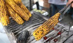 Süt Mısır Seçerken Tazeliğini Anlamanın 5 Etkili Yolu