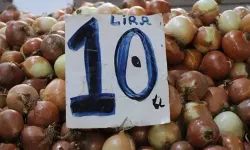 Ekmek ve Sudan Ucuz, Kilosu 10 TL!