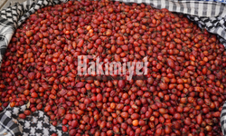 Kış Kapıda: Yozgat’ta Bitki Çaylarına İlgi Arttı