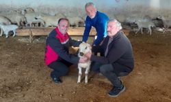 Boğazlıyan'da Üretici Ziyaretleri Devam Ediyor